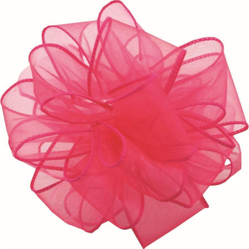 Ruban à ressort, Rose fuchsia, H 2 po x l 6 po x P 6 po