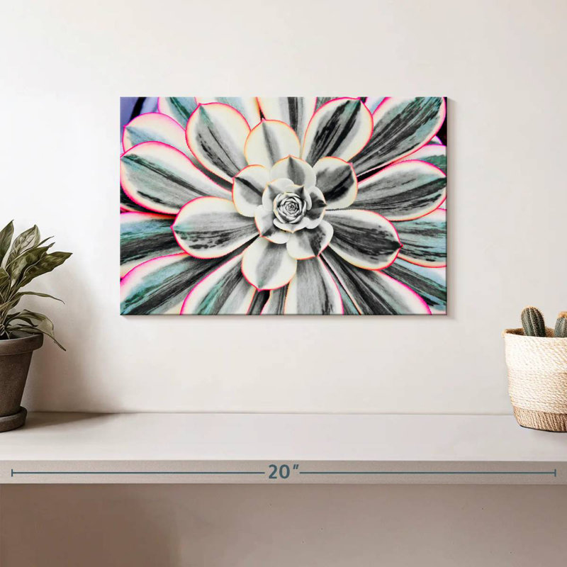 Harnek Fluorescent Succulent, 8" H x 12" W