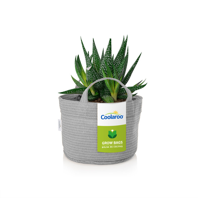 Pot Planter, 7" H x 10.5" W x 10.5" D, 1, Steel Gray