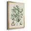 Buchoz Tropicals IX-88436894-88436895