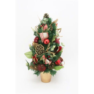 Sapin de Lotus