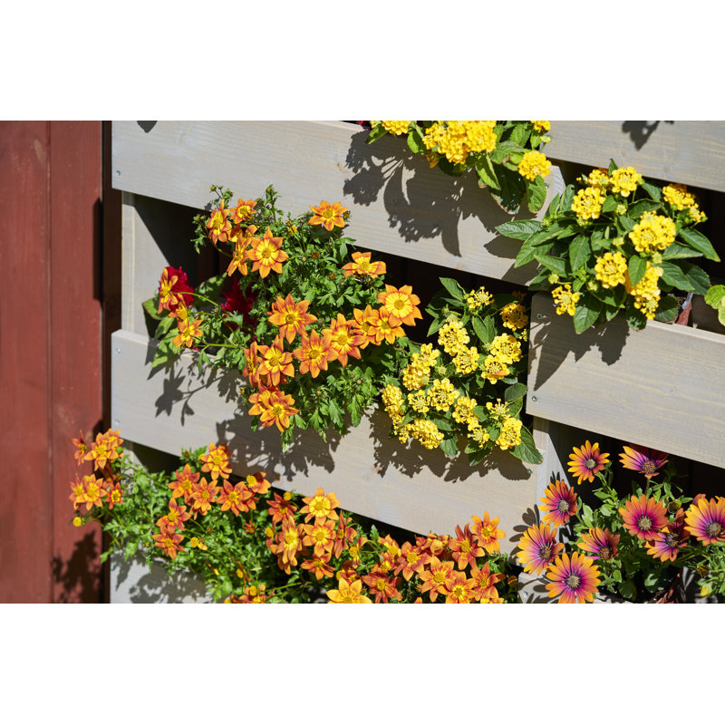 Folline Wood Planter Box