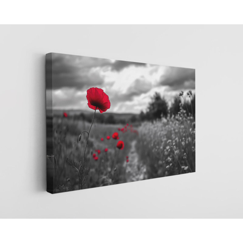 «Red Flower» sur fond noir et blanc sur toile de haute qualité, reproduction murale, reproduction d'art, reproduction de peinture