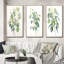 «Green White Minimalisme Eucalyptus Essence I», 3 pièces sur toile-2065702667-2065702669