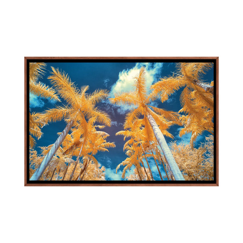 Palm Tree I by Glauco Meneghelli - Floater Frame Print on Canvas