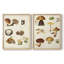 Reproduction encadrée de champignon I-Premium - prêt à être accroché - aucun clou requis - aucun clou requis-1615472013-1615472014