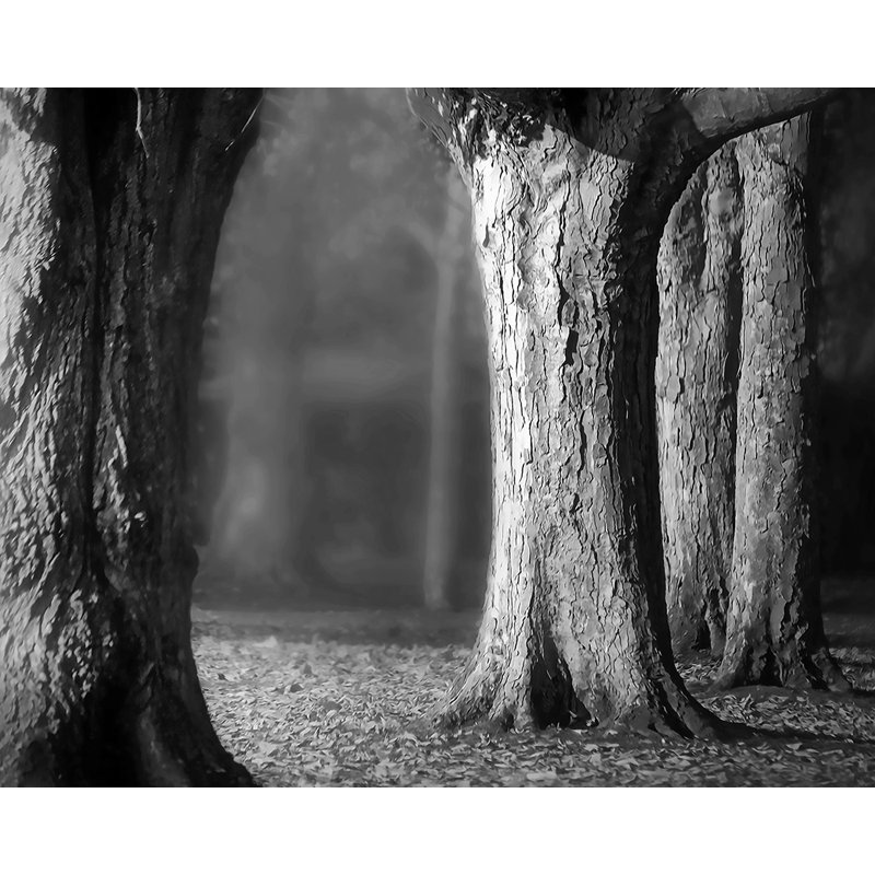 Reproduction d'art graphique sur toile, "Arbres dans la lumière de l'après-midi" par Halli, H 16 po x l 20 po x P 1 po