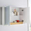 Florence Wall Mounted Required Bathroom Cabinet-1631542623