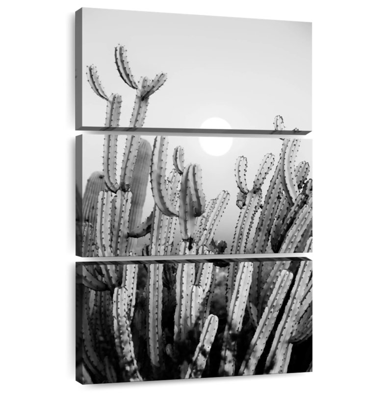 Harnek - Arizona noir - Cactus au coucher du soleil, H 45 po x l 28 po