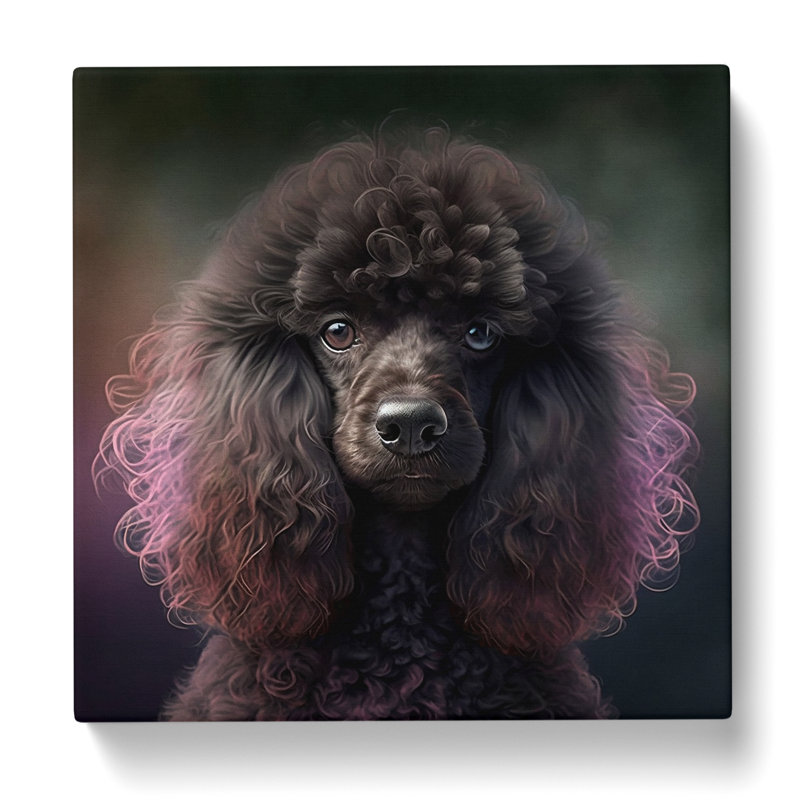Poodle No.1 - No Frame Print
