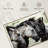 Van Den Four Konik Horses-107671309