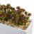 7.75'' Faux Foliage Plant in Ceramic Basket