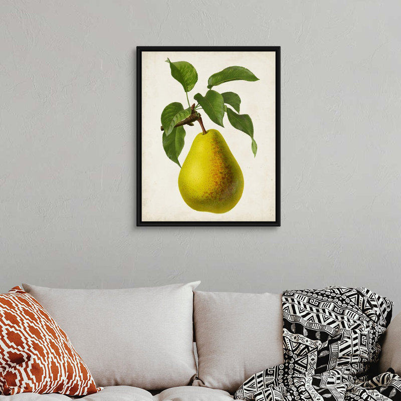 Antique Fruit VII - reproduction d'art sur toile, Cadre flottant noir, H 31,7 po x l 25,7 po x P 1,75 po