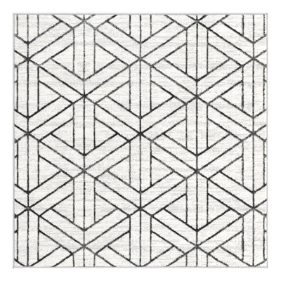 Rochele Geometric Indoor Rug