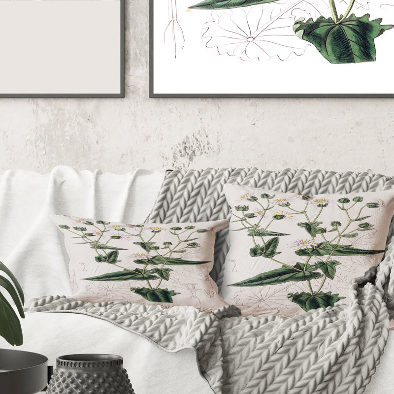 Vintage Plant Life XXII - coussin traditionnel imprimé, 18" x 18"