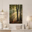 Rayons de soleil dorés à travers les grands arbres de la forêt, tableau sur toile-2065490624