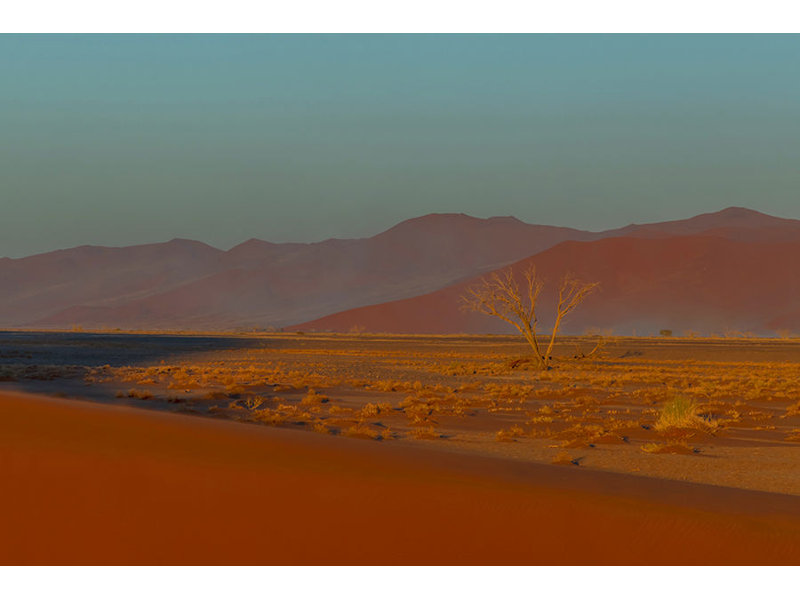 Namibia Desert Morning II Print by Richard Silver, Glass Coat