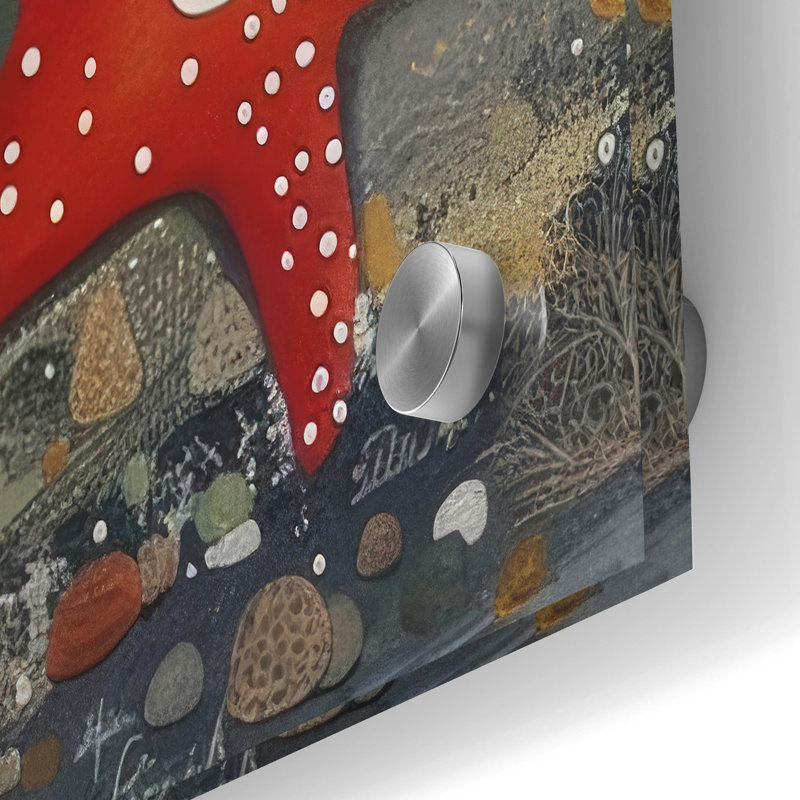  «Pile Of - Starfish» par Doron David, art mural en verre acrylique, 24 po x 36 po, H 36 po x l 24 po
