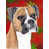 Boxer (beige et blanc)