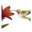 Piquet de jardin en métal Hummingbird Flower-1690802842