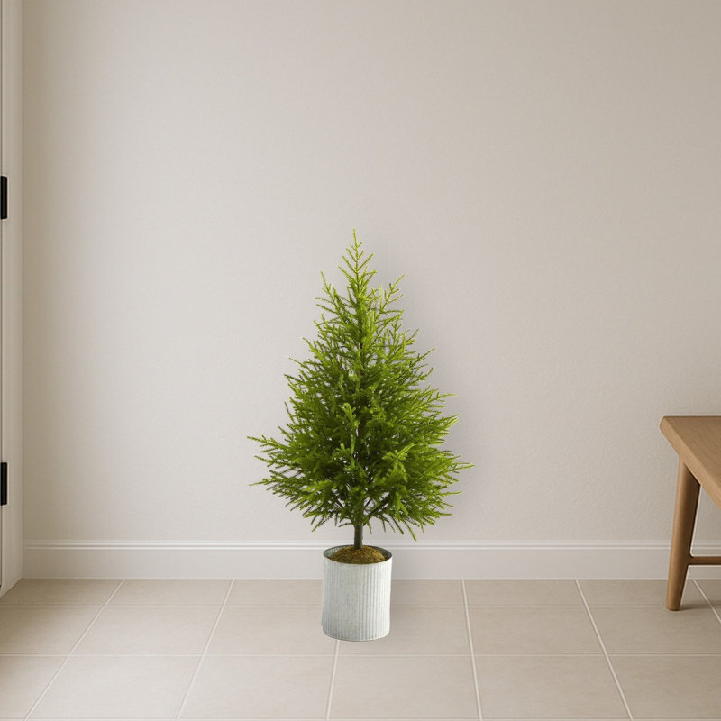 Arbre de Noël artificiel Norfolk Island