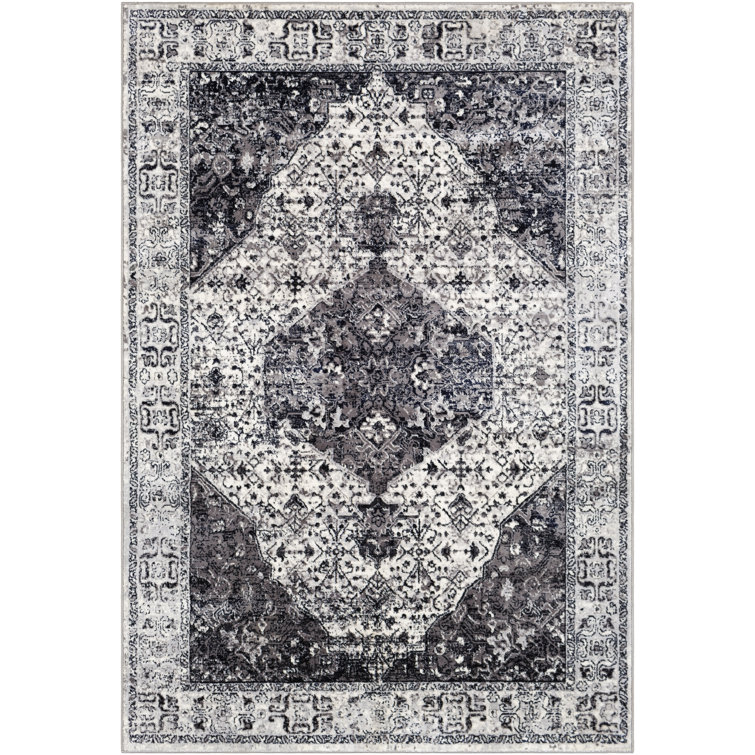 Rossman Southwestern Indoor Rug