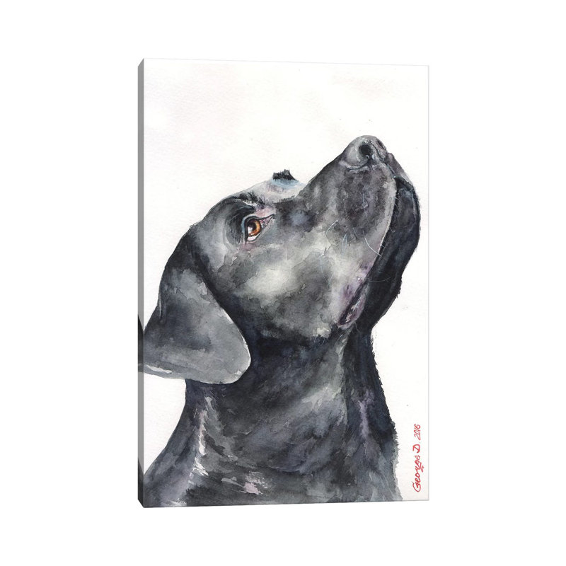 Black Labrador by George Dyachenko - Wrapped Canvas Print, 66.04 cm H x 45.72 cm W x 3.175 cm D, Black/Grey/White, No Frame