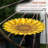 Iron Mosaic Birdbath