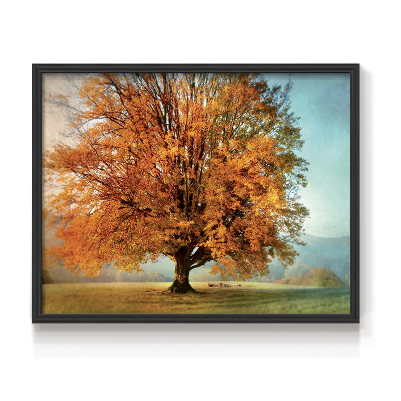 «Autumn's Passion» - reproduction encadrée - Restickable, H 11 po x l 14 po, Noir, noir, noir, noir