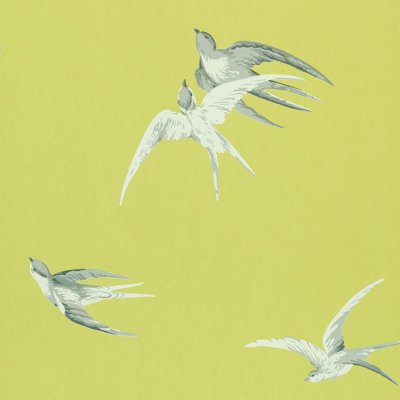 Wedgwood 10.05m x 52cm Wallpaper Roll