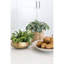 Bol bédouin décoratif-60050161