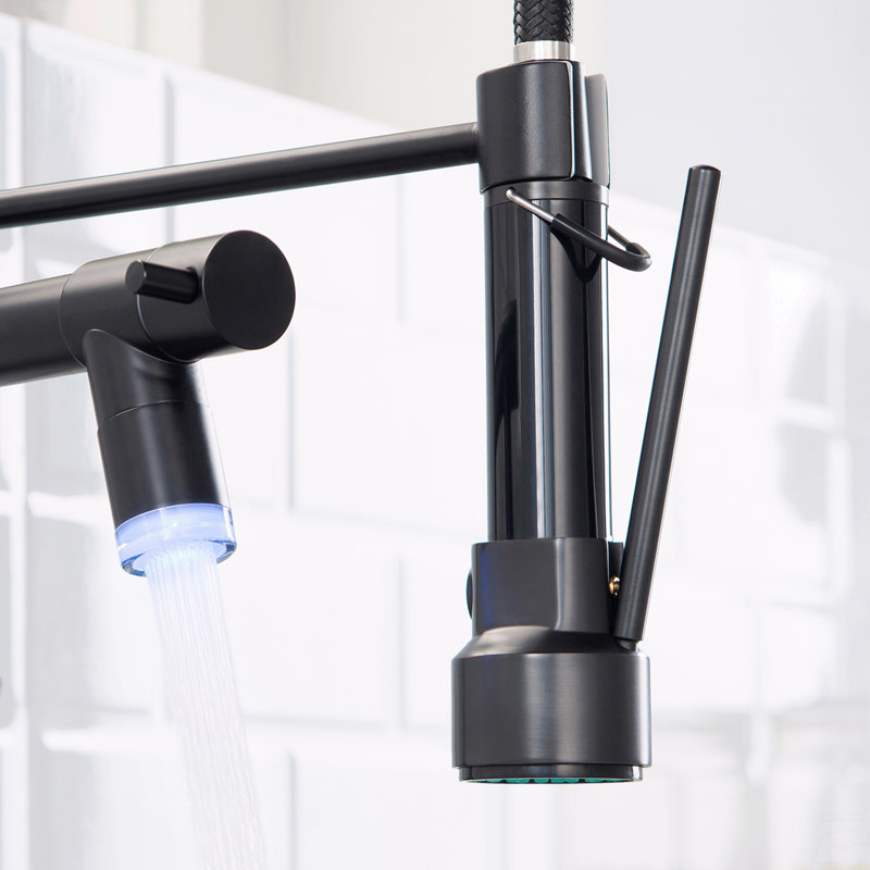 Robinet de cuisine avec douchette rétractable, robinet d'évier de cuisine à poignée simple