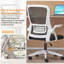 Blue Elephant Mesh Task Chair-1701214724