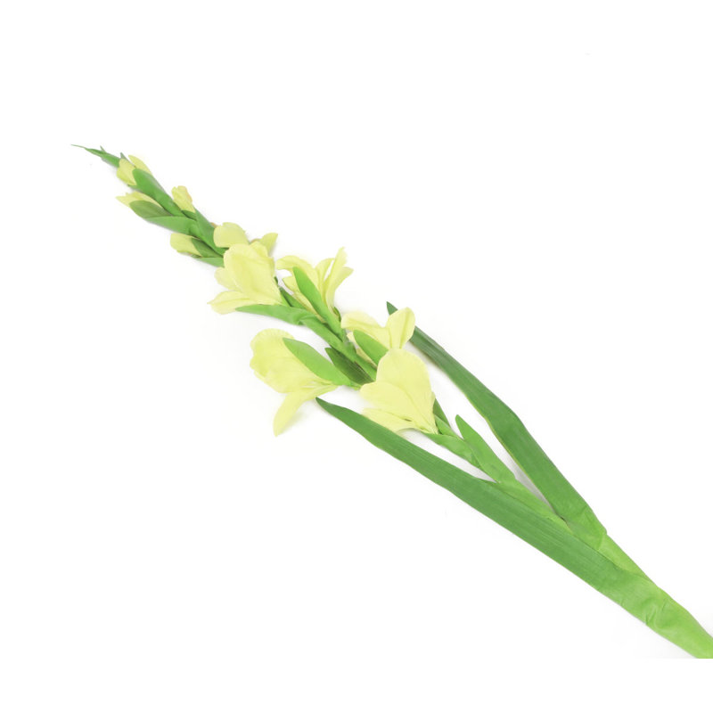 Silk Iris Arrangement, Yellow, 122cm H x 12cm W x 10cm D
