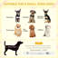 Derick Solid Wood Dog House