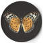 Metamorphosis Round Coaster