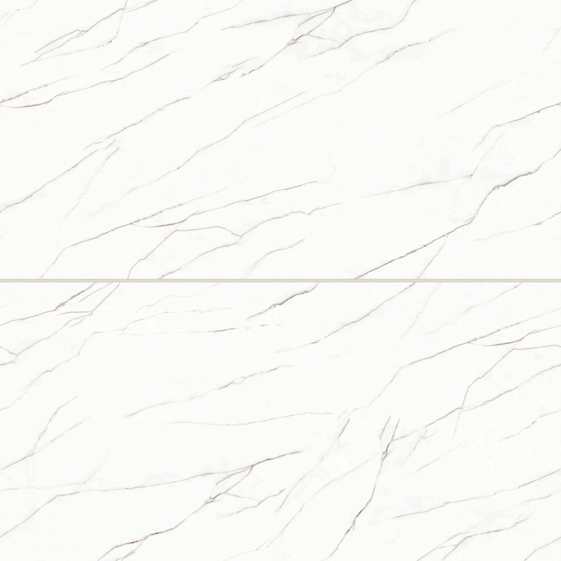 Shandar 24 in. x 48 in. Matte Porcelain Tile