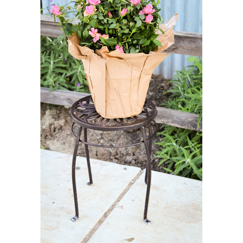 Support pour plante Envere, Dark Bronze