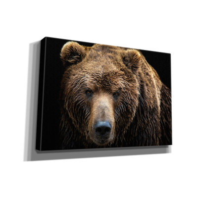 Millwood Pines «Brown Bear» par Epic Portfolio, art mural sur toile, 40 po x 26 po
