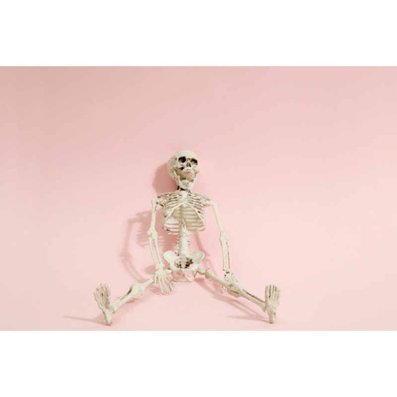 Pink Skeleton by LoulouVonGlup - Wrapped Canvas Print, 20cm H x 30cm W x 3.8cm D