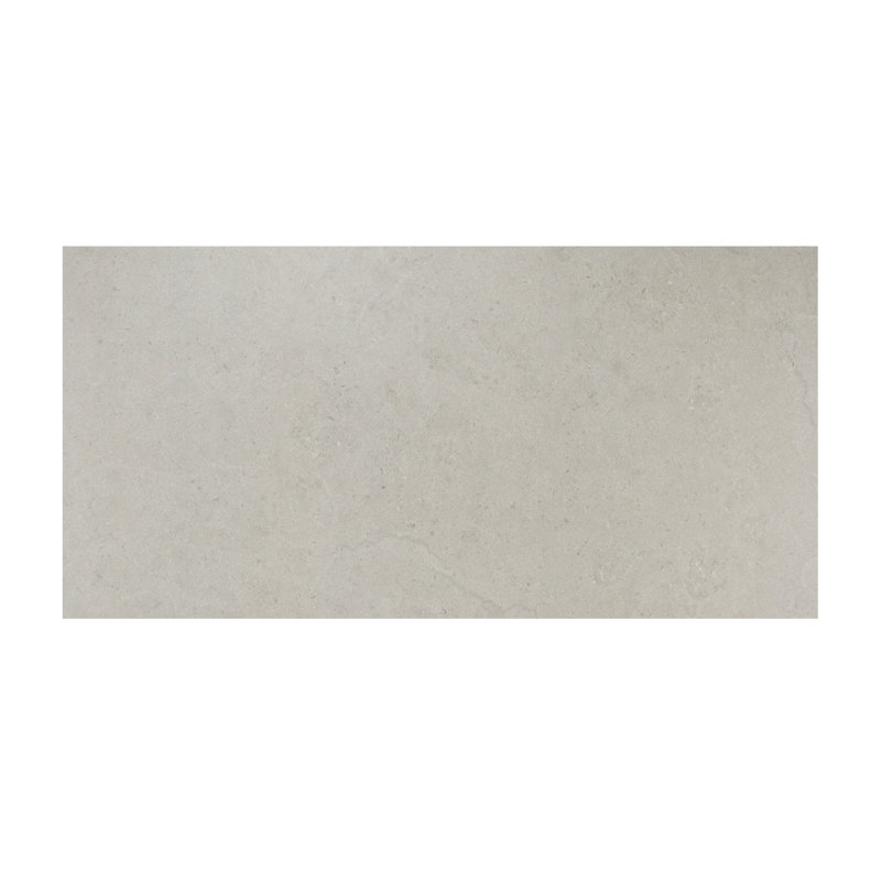 Arlo 12" x 24" Concrete Look Porcelain Floor & Wall Tile, Gray