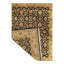 Oriental Area Rug in Black