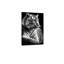 Décoration murale sur toile de qualité supérieure noir et blanc tigre Aniaml 24 po x 18 po