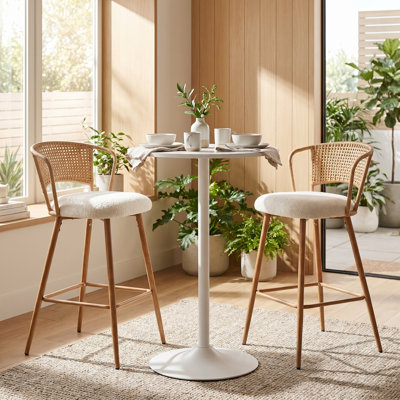 3-Piece Counter Height Dining Table Set With 24" Round Pub Table And 2 Cane Back Counter Stools