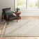 Indoor Rug