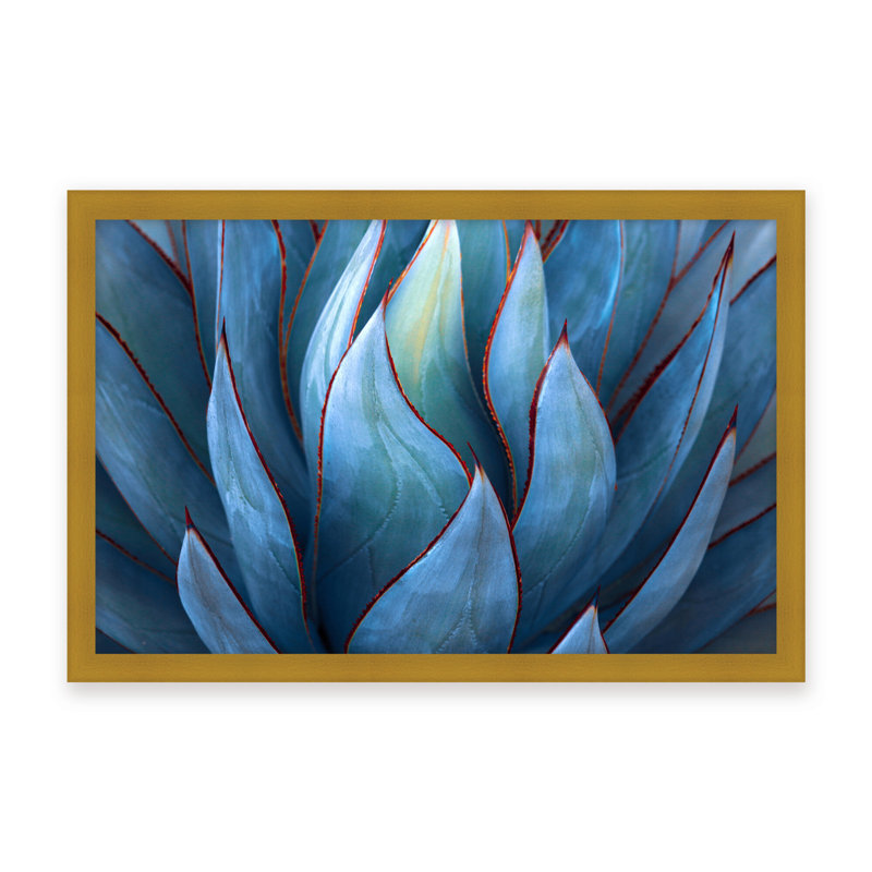 Nature Inspired Blue Agave Abstract by  - Picture Frame Graphic Art on Paper, 16" H x 24" W x 1.125" D, Black