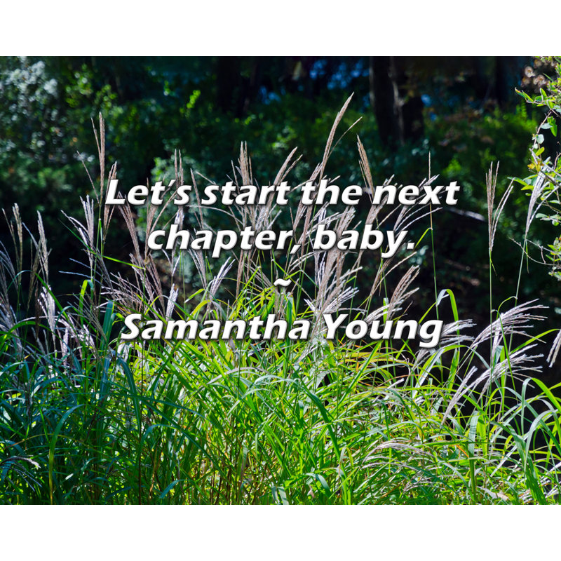 Citation de Samantha Young: Commençons le prochain chapître, bébé., H 15 po x l 18 po