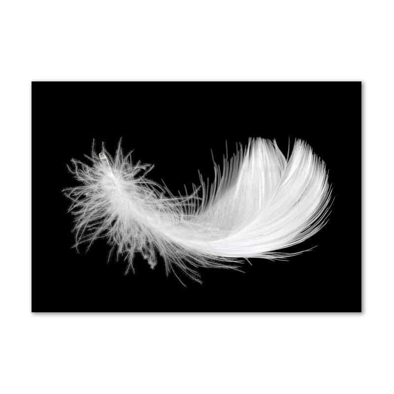 Feather - No Frame Print on Canvas