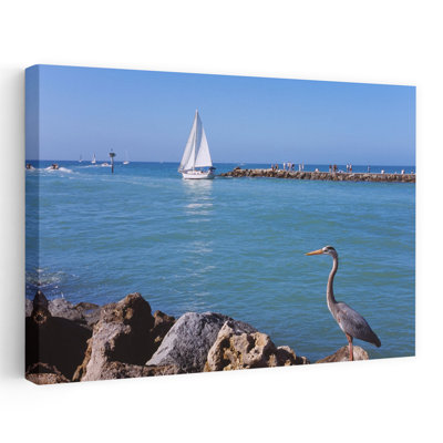 Great Blue Heron Perching On A Rocks South Jetty Venice Sarasota County Florida Usa Abstract Contemporary Landscape Nature Art