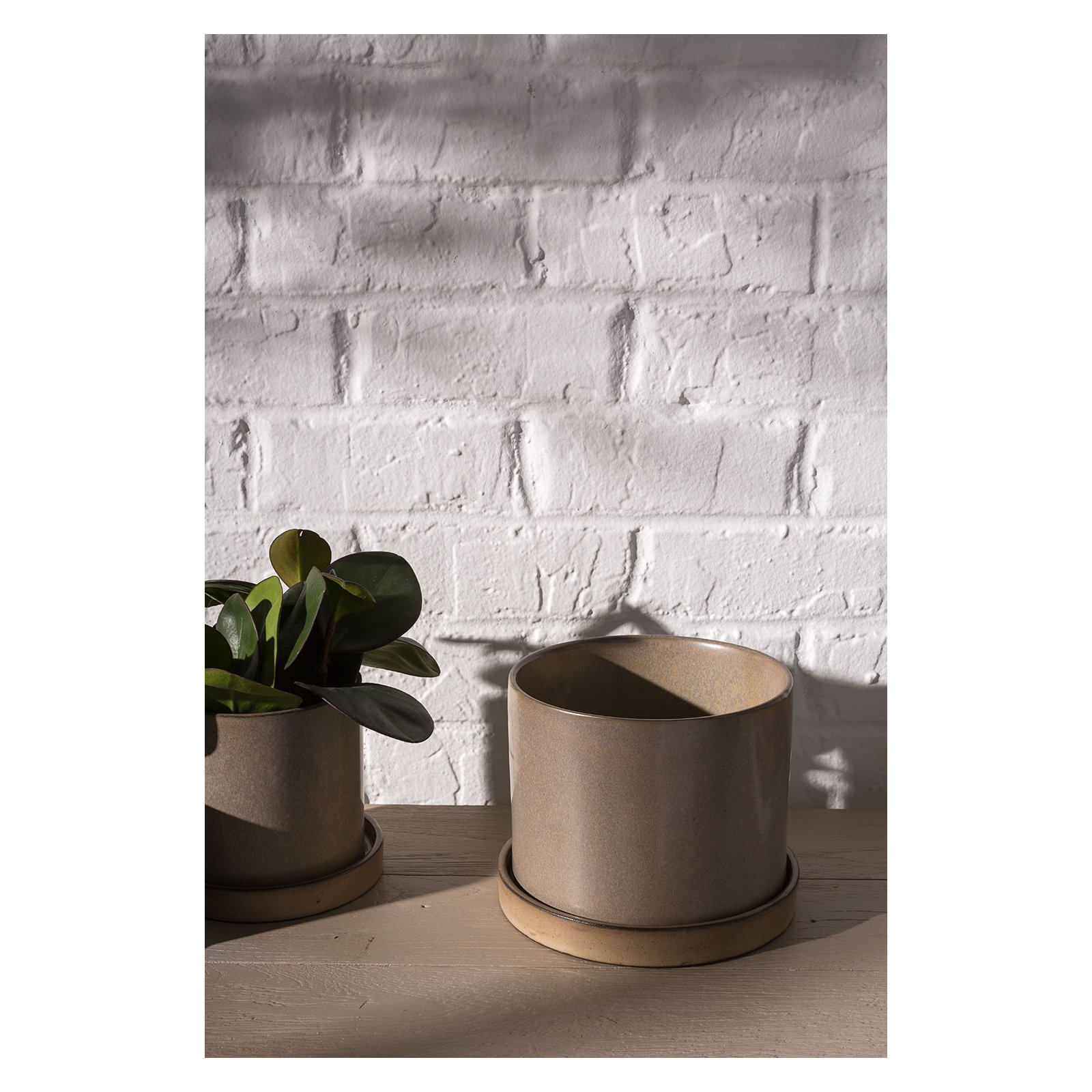 Tyron Ceramic Pot Planter, Tan, 7" H x 6.5" W x 6.5" D